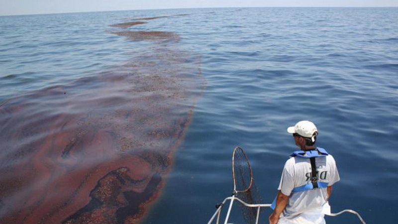 آلودگی نفتی در دریا و اثرات آن در اکوسیستم دریاها