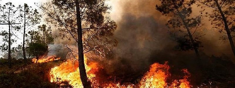 احتمالات و خطرات آتش‌سوزی جنگل‌های کشور