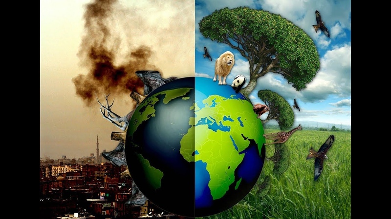 مدیریت زیست محیطی و ریسک بلایا