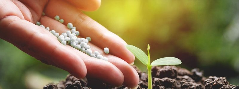 کودهای زیستی نانو برای افزایش بهره‌وری کشاورزی